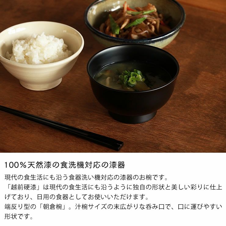 100%天然漆の食洗機対応の漆器