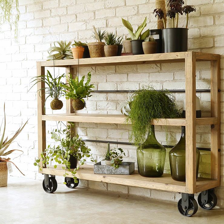 植物にも使いやすい飾り棚