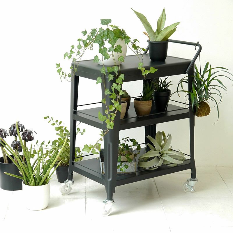 観葉植物を置いたスチール製ワゴン