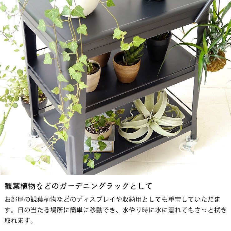 観葉植物などのガーデニングラックとして