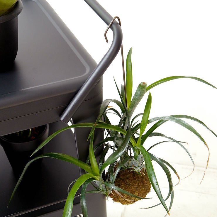 ハンドルにフックを引っ掛けられる観葉植物ラック