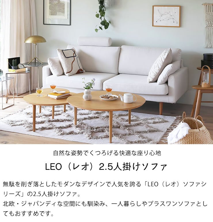 自然な姿勢でくつろげる　LEO レオ 2.5人掛けソファ