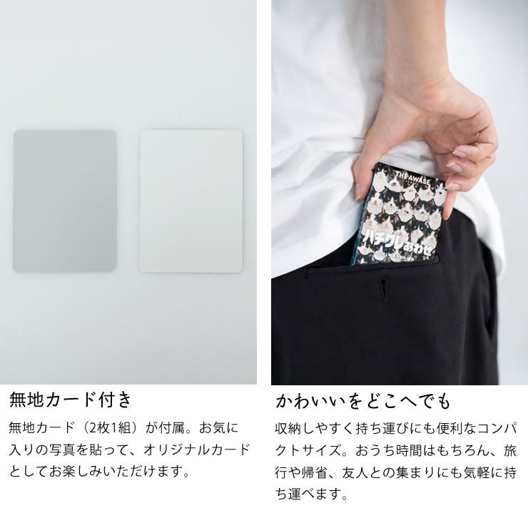 ハチワレあわせについて