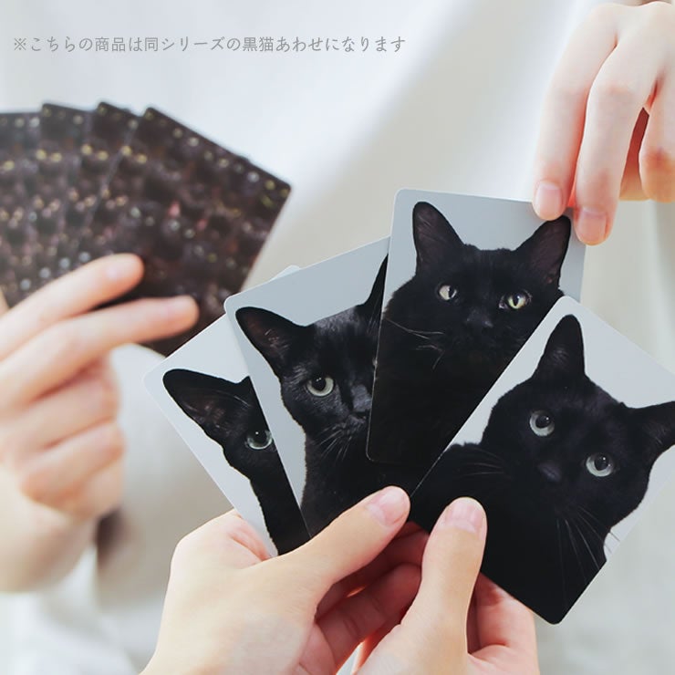 定番のトランプゲーム