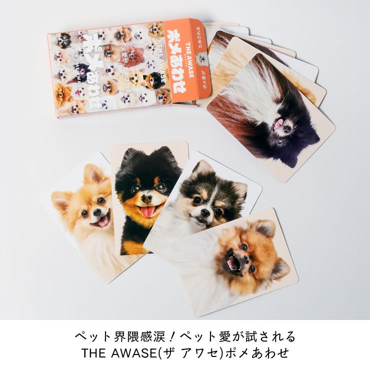 ポメの写真だけで構成されたトランプカード