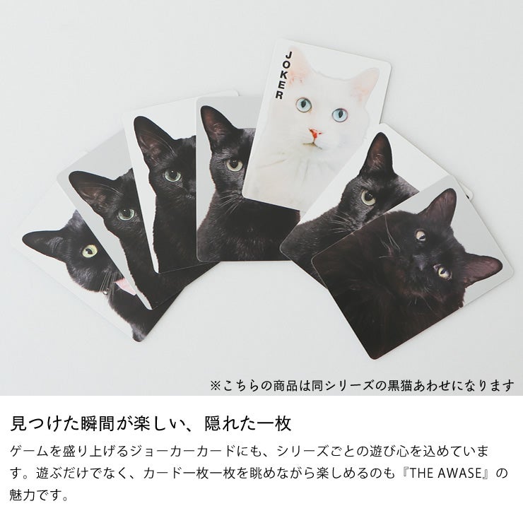 他のカードとは一味違うジョーカーカード