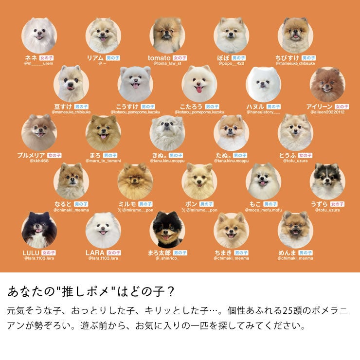 25匹の猫のカードで遊べるポメあわせ