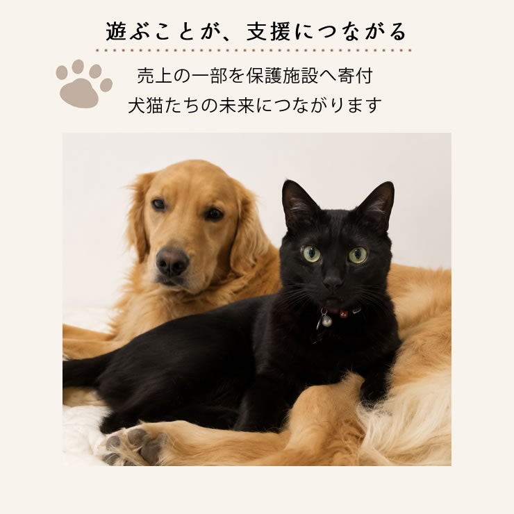 売上の一部を保護犬・保護猫施設へ寄付する取り組み