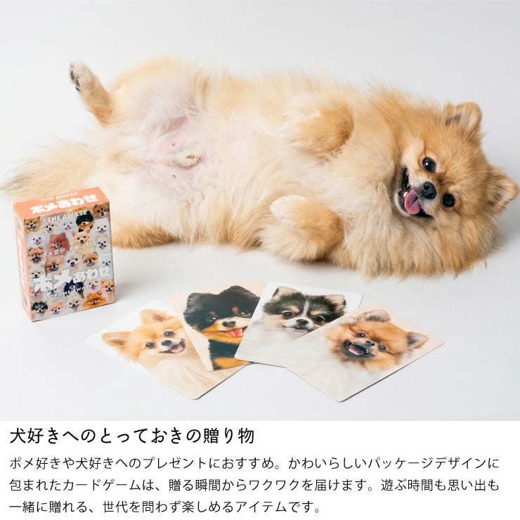 犬好きの方にぴったりの贈り物ぽめあわせ