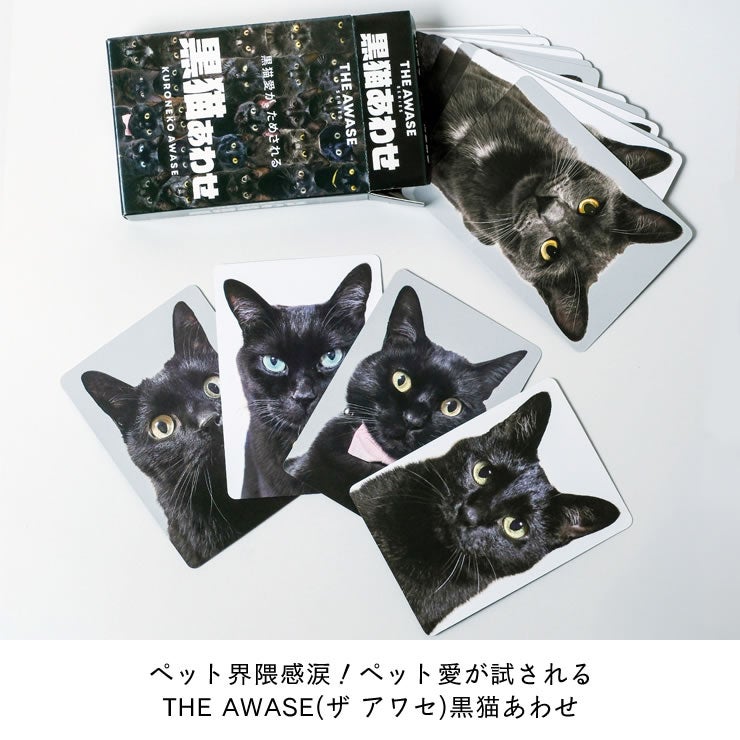 黒猫の写真だけで構成されたトランプカード