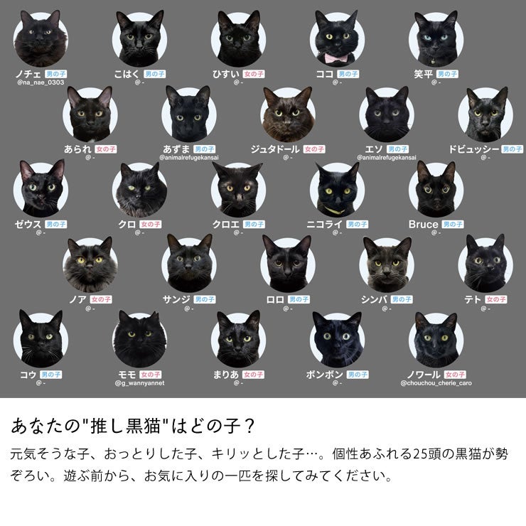 25匹の猫のカードで遊べる黒猫あわせ