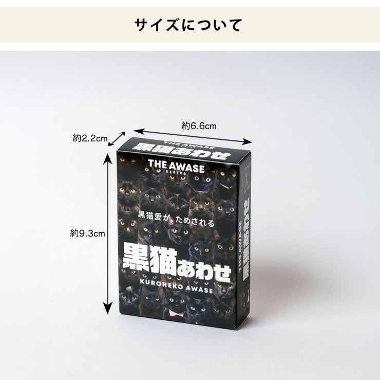 コンパクトサイズなカードゲーム