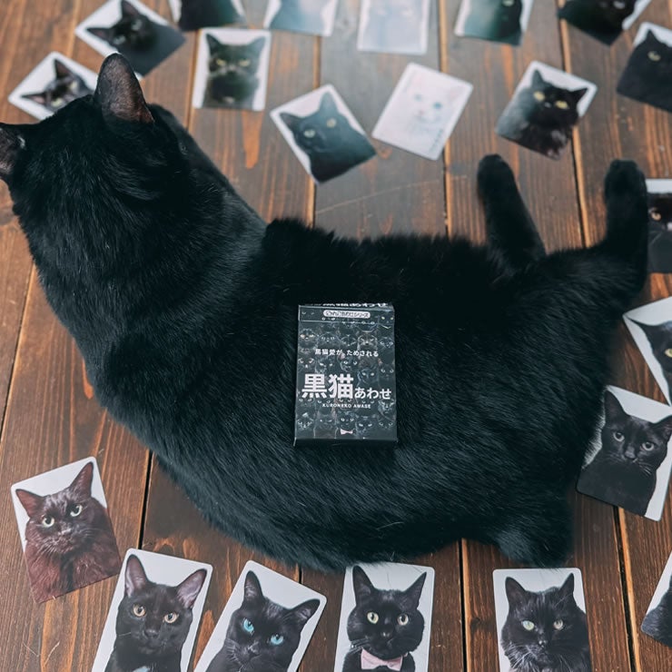 愛猫もオリジナルカードにできる黒猫あわせ
