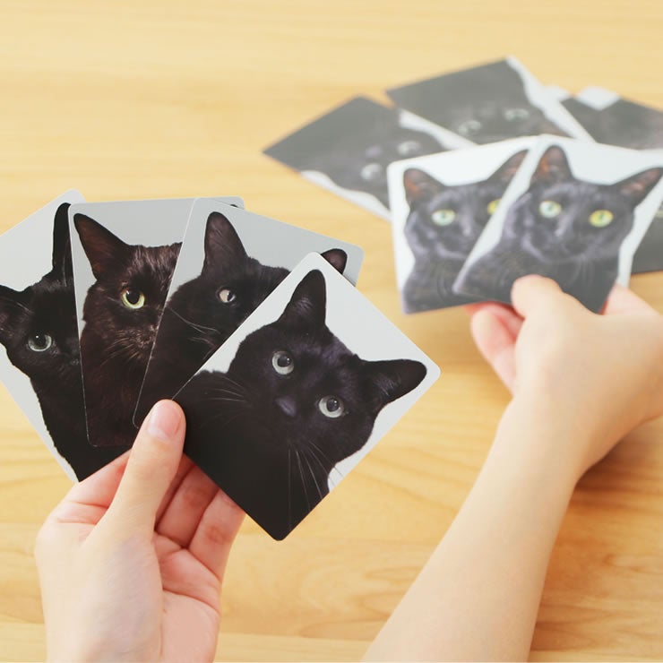 かわいい猫のトランプカードくろねこあわせ
