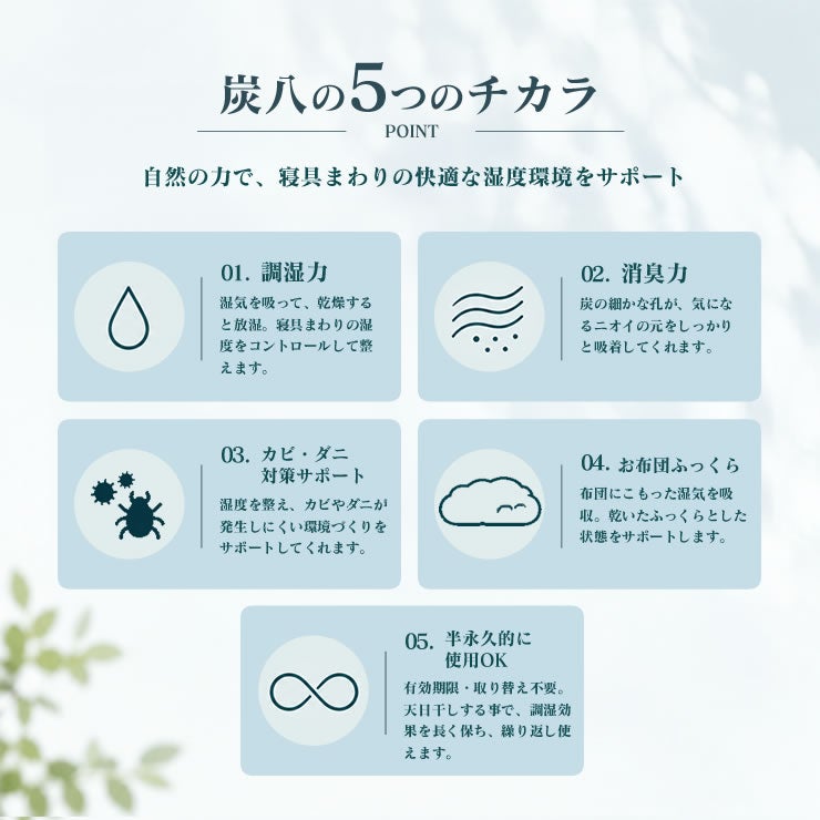 炭八の5つのチカラについて
