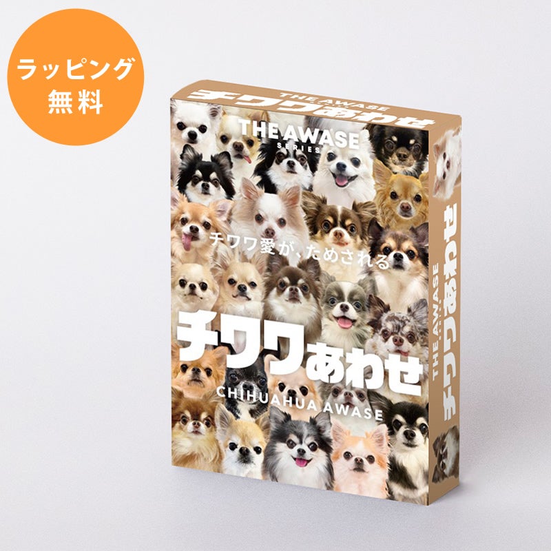 チワワ愛が試されるチワワあわせ