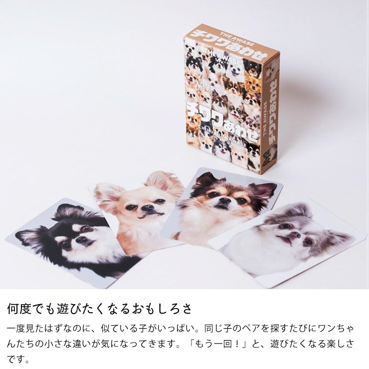 子供から大人まで遊べるチワワあわせ