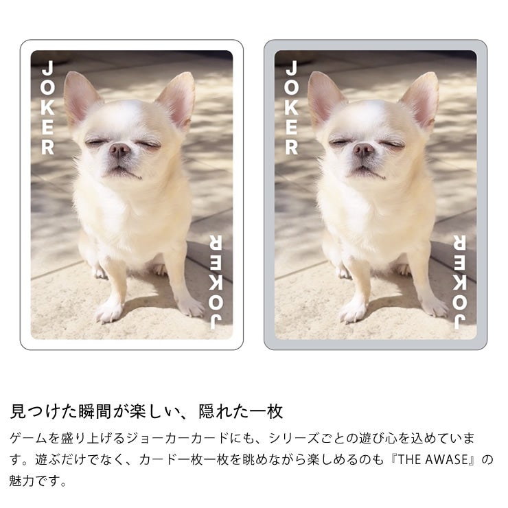 他のカードとは一味違うジョーカーカード
