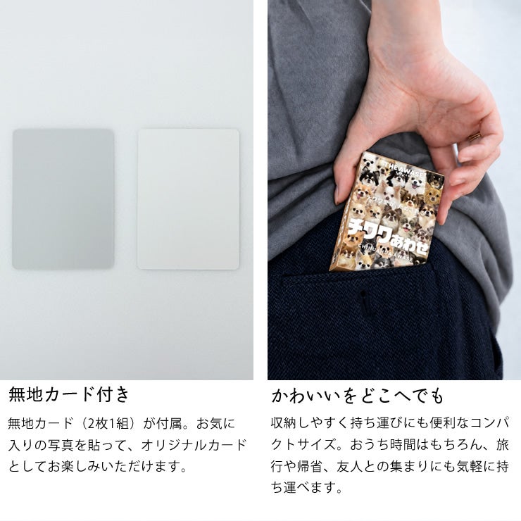 チワワあわせについて