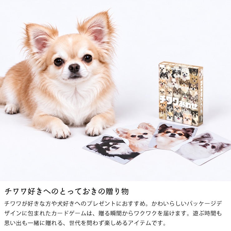 チワワ好きの方にぴったりの贈り物 チワワあわせ