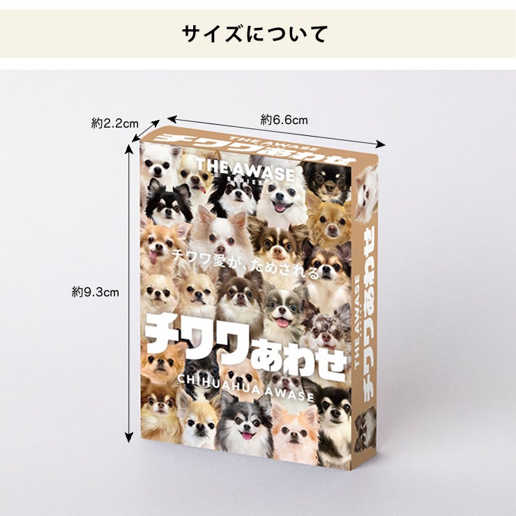 コンパクトサイズなカードゲーム