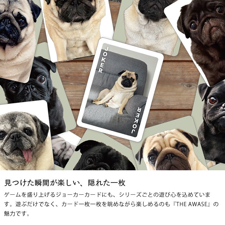 他のカードとは一味違うジョーカーカード