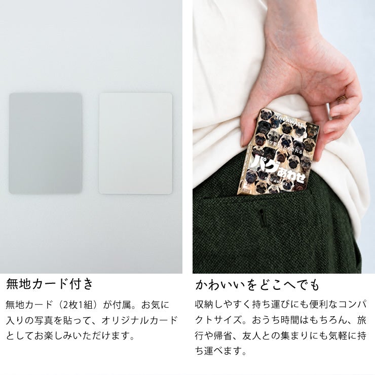 パグあわせについて