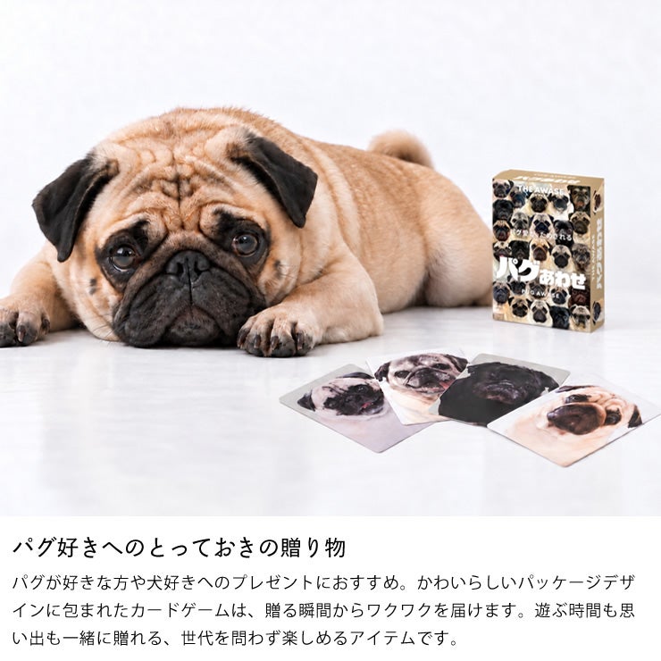 バグ好きの方にぴったりの贈り物 パグあわせ