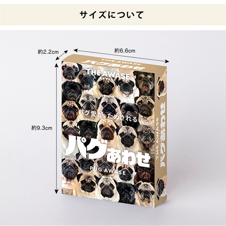 コンパクトサイズなカードゲーム
