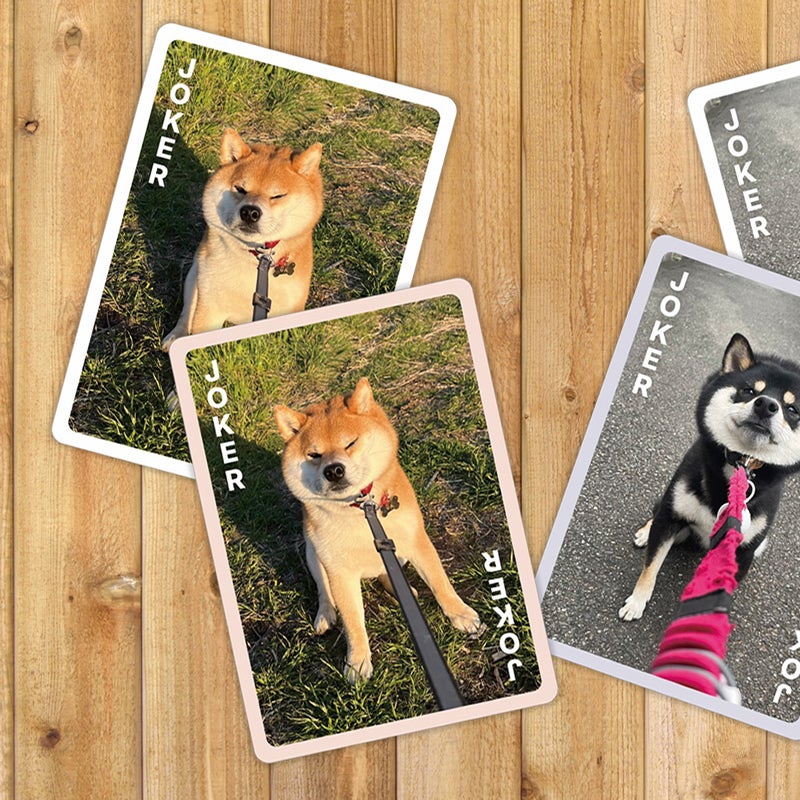 実在する柴犬の写真を使ったカードゲーム 柴あわせ あか