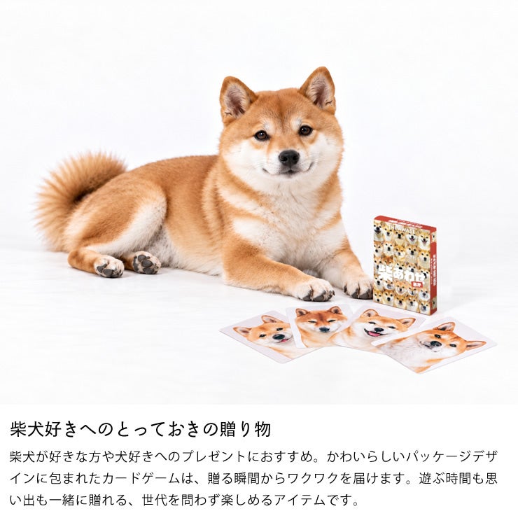柴犬好きの方にぴったりの贈り物 柴あわせ(赤)