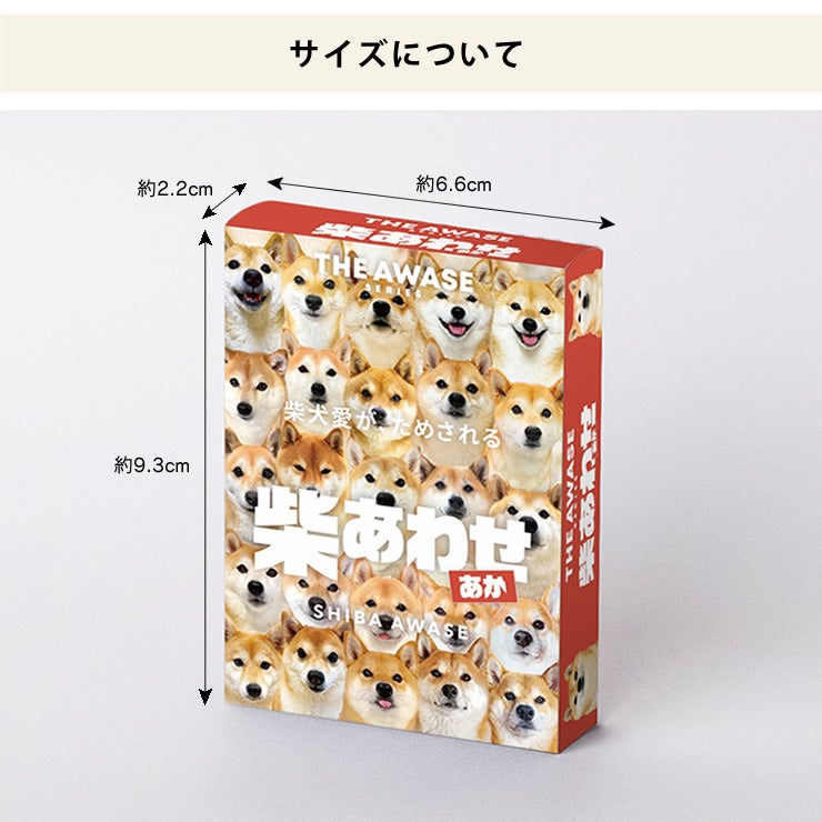 コンパクトサイズなカードゲーム