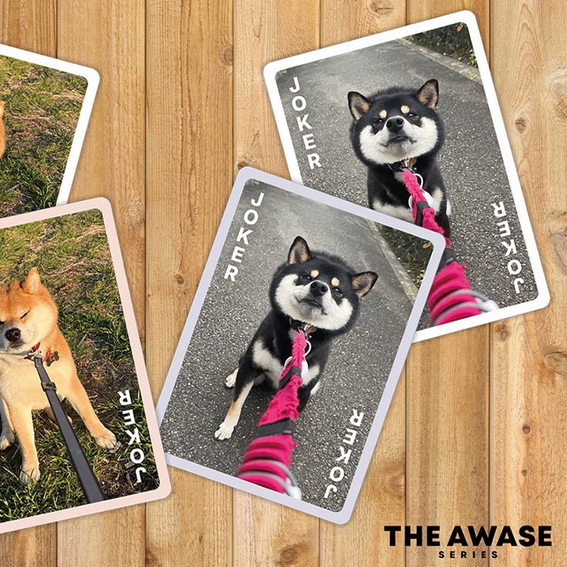 実在する柴犬の写真を使ったカードゲーム 柴あわせ くろ