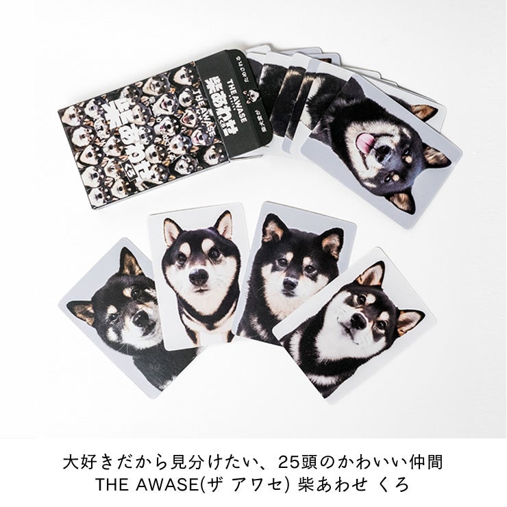 柴犬の写真だけで構成されたトランプカード