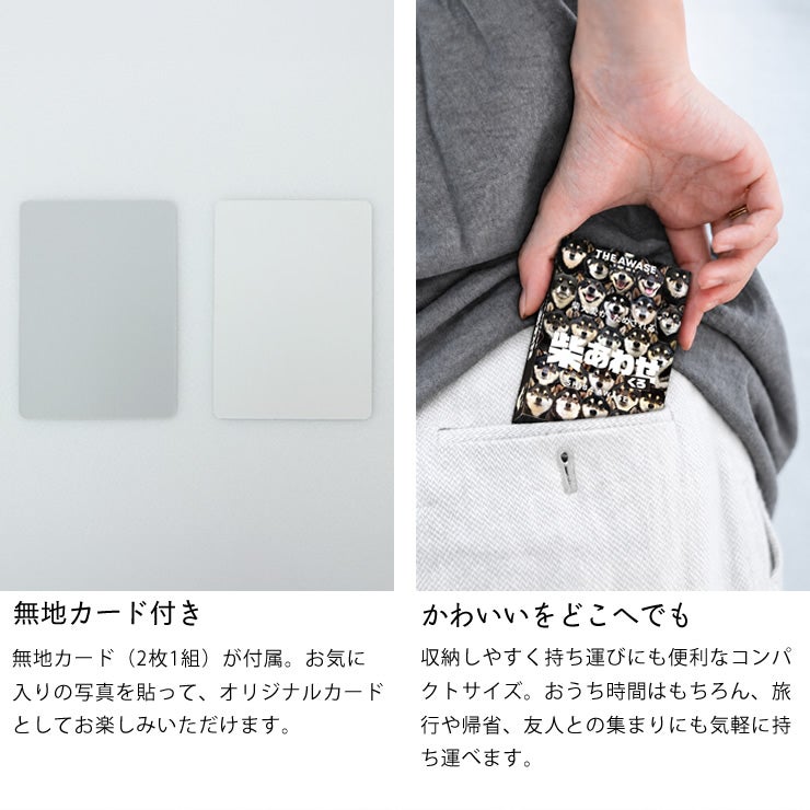 柴あわせ(くろ)について