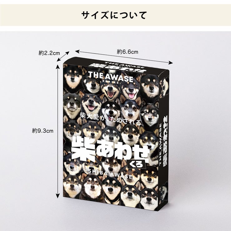 コンパクトサイズなカードゲーム
